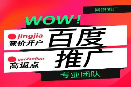 行业标杆：SEM托管公司案例解析